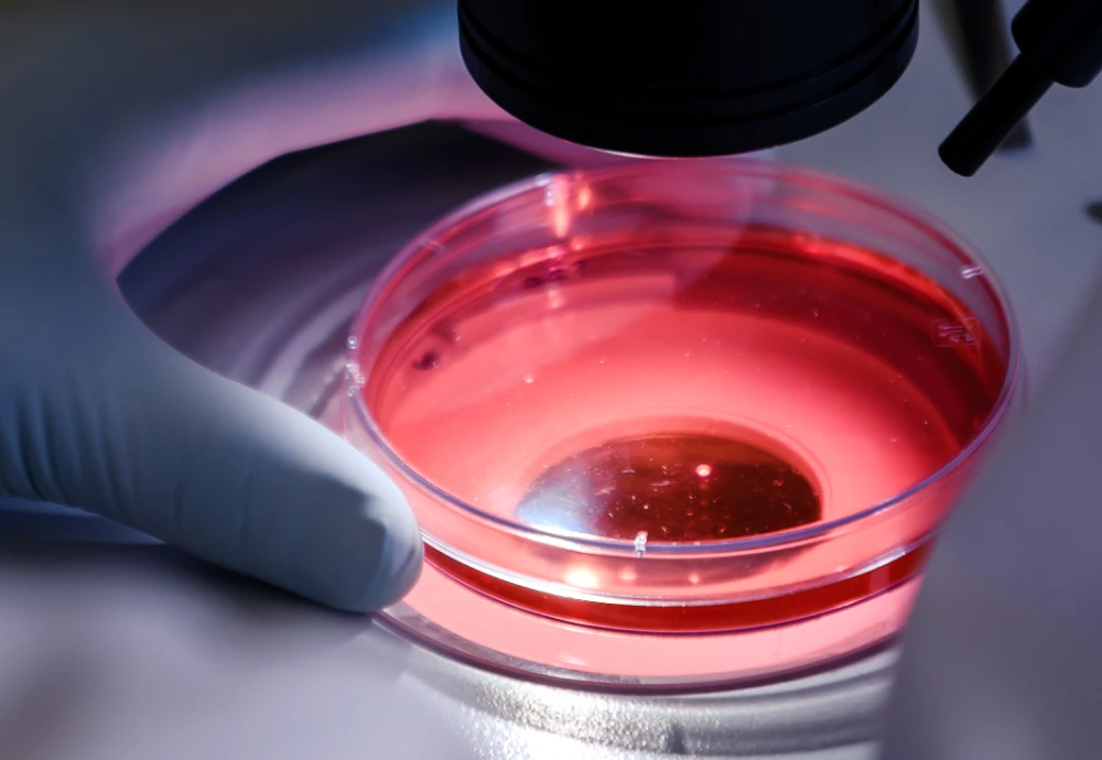 digital microscope 600x