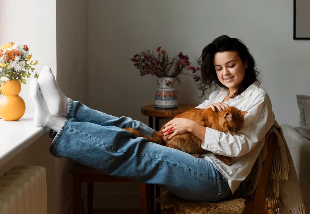 best camera for pets at home