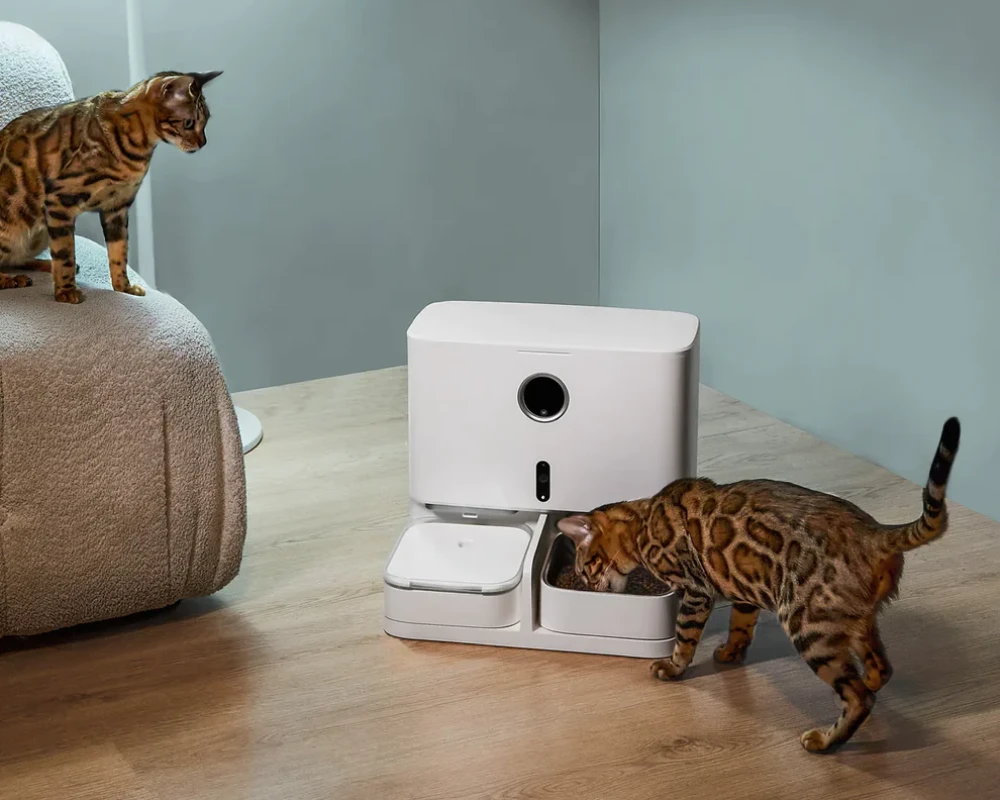 pet automatic feeder